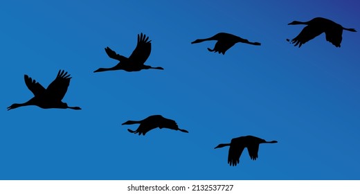 a flock of geese on a blue sky