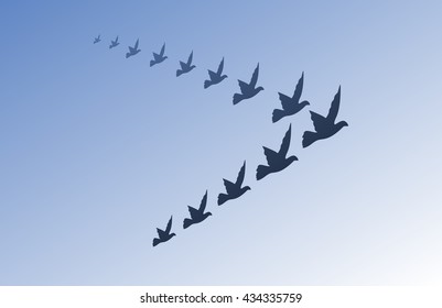 a flock or group of birds flying in the shape of a triangle on a blue sky, black and white vector