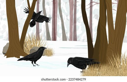 Eine Herde großer schwarzer Krähen im Winterwald. Winterlandschaft mit Bäumen, Schneeflocken und trockenem Gras. Realistische Vektorlandschaft