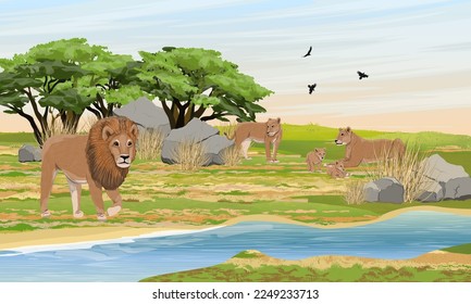 A flock of lions is resting on the bank of a stream. Pride of lion, lionesses and their cubs. Wildlife of Africa. Realistic vector landscape