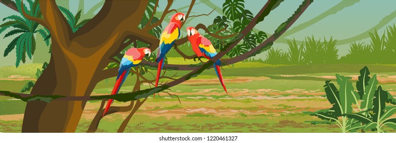 A flock of macaw parrots sitting on tropical trees. Jungle. Rainforest of South America and Amazonia. Creepers, banana trees, epiphytic ferns. Vector landscape