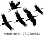 Flock of majestic cranes soaring gracefully through the sky in a striking silhouette