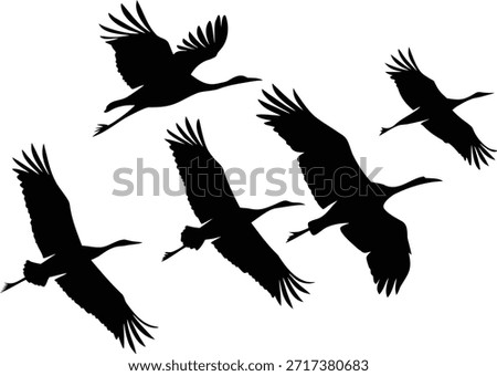 Flock of majestic cranes soaring gracefully through the sky in a striking silhouette