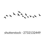 Flock of Migratory Birds Flying Silhouette, Minimalist Vector Illustration for Nature and Freedom Concepts