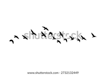 Flock of Migratory Birds Flying Silhouette, Minimalist Vector Illustration for Nature and Freedom Concepts