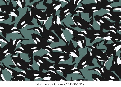 A flock of Orcinus orca. killer whale