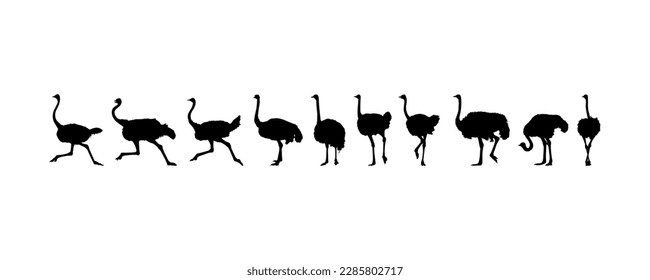 Flock of the Ostrich Silhouette for Logo, Pictogram, Art Illustration or Graphic Design Element. Vector Illustration