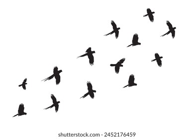 Flock of parrot silhouette set vector icon. Flock of birds flying