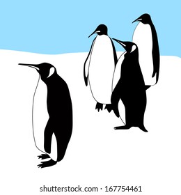 Flock of penguins