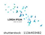 A flock of picturesque flying birds. Vector