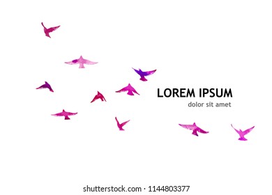 A flock of picturesque flying birds. Vector