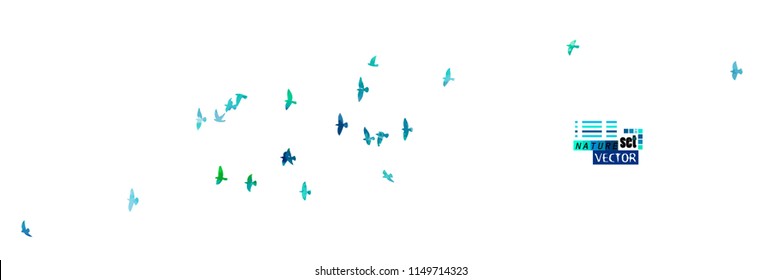 A flock of picturesque flying birds. Vector