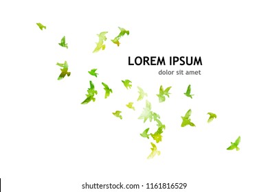 A flock of picturesque flying birds. Vector