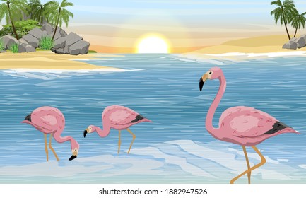 A flock of pink flamingos in the warm blue water. Tropical islands with palm trees. Summer. Birds of Africa and South America. Anser caerulescens. Realistic vector landscape