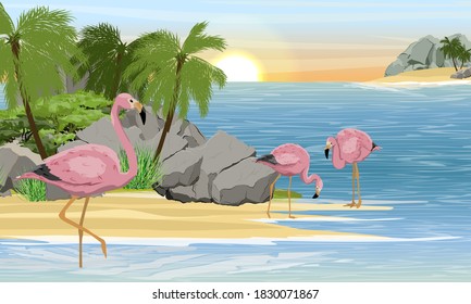 A flock of pink flamingos in the water near the coast of a tropical island with stones and palm trees. Birds of Africa and South America. Anser caerulescens. Realistic vector landscape