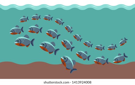 a flock of piranhas swims in the water
