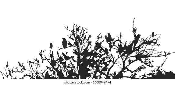 A flock of ravens sits on tree branches. Black-white silhouette. Crows. Vector illustration.
