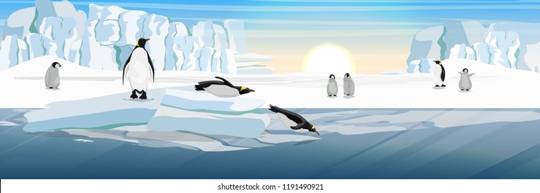 A flock of realistic imperial penguins with many little chicks. Two penguins from the ice floe into the water. The glacier and the snow-covered plains and the cold blue sea. Landscapes of Antarctic.