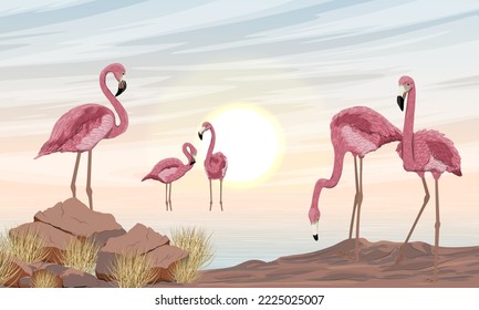 A flock of red flamingos on the seashore. Phoenicopterus ruber or Caribbean flamingo. Wild birds of South America, Galapagos and Caribbean islands. Realistic vector landscape