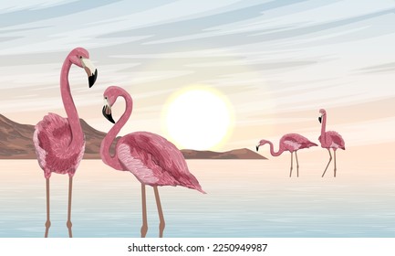 A flock of red flamingos on the seashore. Sunset over the tropical sea. Wild birds of South America, Galapagos and Caribbean islands. Realistic vector landscape