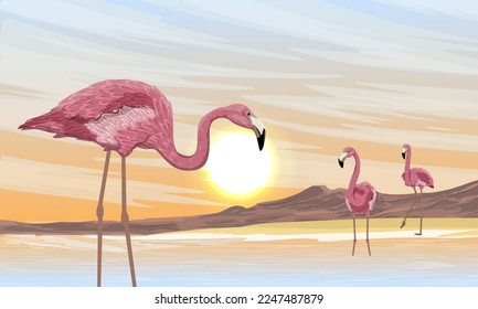 A flock of red flamingos at sunset. Phoenicopterus ruber or Caribbean flamingo. Wild birds of South America, Galapagos and Caribbean islands. Realistic vector landscape