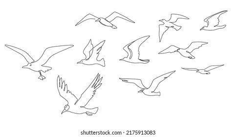 Bloque de gaviotas. Aves marinas que vuelan juntas, una línea de gaviota y aves oceánicas ilustran un dibujo vectorial. Aves marinas silvestres con alas de plumas arte lineal minimalista, esquema para tatuajes