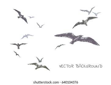 Flock of seagulls. Vector hand drawn illustration of sea birds isolated on white for print. Natural background. 