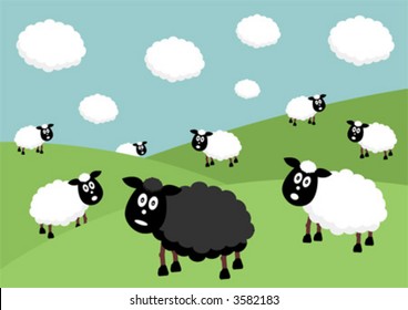 Flock Of Sheep With The Black Sheep Of The Family