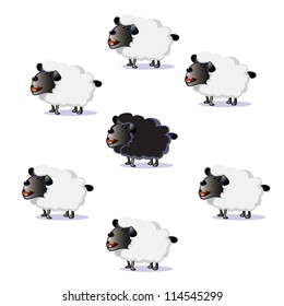 flock of sheep, black sheep surrounded by white sheep