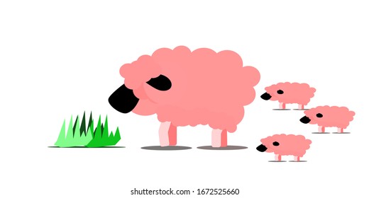 A flock of sheep eating grass