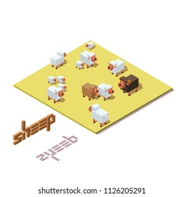 Flock of sheep. Isometric 3d vector illustration. Icon for web. Isolated on white background.