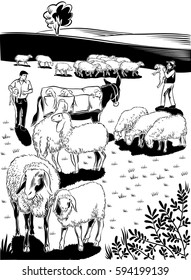 Flock of sheep, shepherds, mule and lambs.