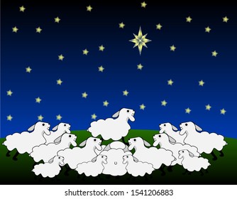Flock of sheep stands on the field and looking up at the big star, night sky.
