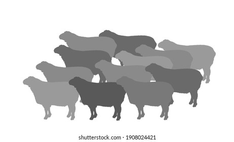 Flock of sheep vector silhouette illustration isolated on white background. Lamb meat. Butcher shop template for craft food packaging or restaurant design. Domestic animal symbol.