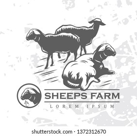 Flock of sheeps on pasture flat vector illustration. Livestock farming, animal husbandry cartoon concept with outline. Ewes grazing. Sheep wool and lamb meat production isolated design element