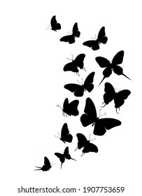 Flock of silhouette black butterflies on white background. Vector