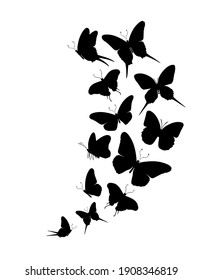 Flock of silhouette black butterflies on white background. Vector