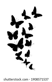 Flock of silhouette black butterflies on white background. Vector