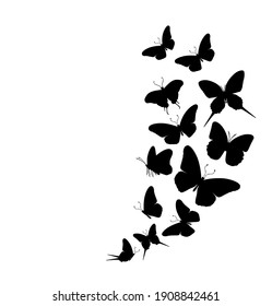 Flock of silhouette black butterflies on white background. Vector