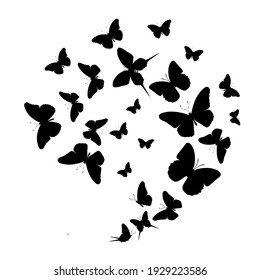 Flock of silhouette black butterflies on white background. Vector