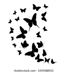 Flock of silhouette black butterflies on white background. Vector