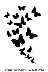 Flock of silhouette black butterflies on white background. Vector