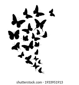 Flock of silhouette black butterflies on white background. Vector