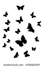 Flock of silhouette black butterflies on white background. Vector