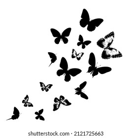 Flock of silhouette black butterflies on white background