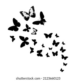 Flock of silhouette black butterflies on white background