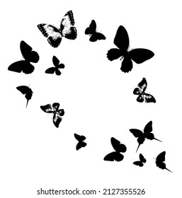 Flock of silhouette black butterflies on white background