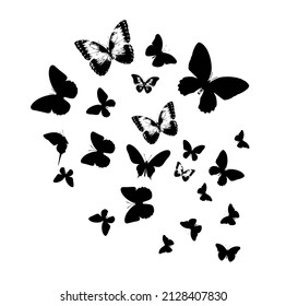 Flock of silhouette black butterflies on white background