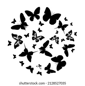 Flock of silhouette black butterflies on white background