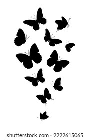 Flock of silhouette black butterflies on white background. Vector